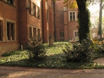 Ягеллонский университет. Во дворе