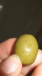 какие-то точечки на оливках