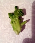 Облезлый кусочек брокколи. Замороженные овощи Родная кухня Смесь с брокколи