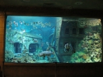 Самый большой и красивый аквариум с акулами