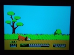 Фото экрана с игрой "Охота на уток"