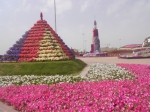 Это "Сад цветов" в Дубае, ОАЭ. И это все петунии!