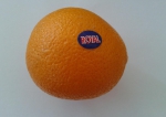 апельсин-маленькое солнышко