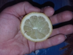 Лимон для пилинга.