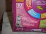 Рекомендации по питанию котят 10 месяцев