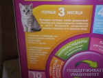 Рекомендации по питанию котят 3 месяцев