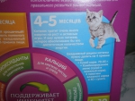 Рекомендации по питанию котят 4-5 месяцев