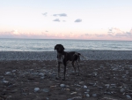 море и собакен
