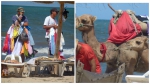 Тунис. Торговцы и верблюды на пляже.