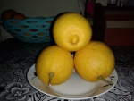 лимоны 1