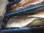 рыбка на рыбном рынке