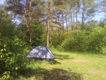 Палатка 2-х местная BestWay. Первый выход в естественную среду