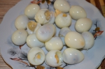 перепелиные яйца ЭКО-Птицефабрика