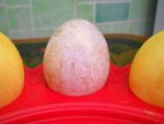 Яйцо с "бронзовой" окраской