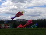 Фестиваль воздушных змеев "Пестрое Небо", Царицыно, рыбы