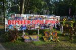 фестиваль Воронеж-город сад
