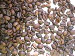 Кофе в зернах G.Monti зерна 100% арабики
