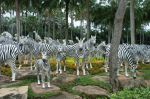 Фигуры зебр в тайском тропическом парке