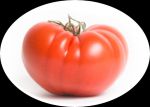 Сорт помидора Азербайджанский ромашка
