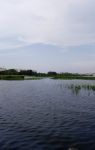 Озеро Смолино вид с берега в другом месте