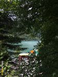 Вид на озеро Рица сквозь деревья