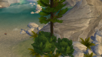 Дятел на дереве