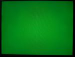 Заливка экрана реального монитора зелёным