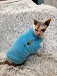 Кошка в свитере