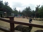 зоопарк в Сафари-парке