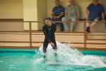 трюки дельфинов в Геленджикском дельфинарии