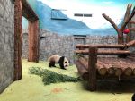 Панда в вольере