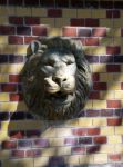 лев в Массандровском дворце