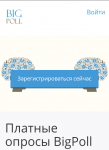 Обзор входа на сайт Bigpoll.ru