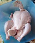 Вид цыпленка с грудки