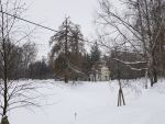 Вид на Скрипучую беседку в Екатерининском парке