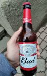 Пиво "Bud" светлое перед тем, как быть употреблённым