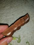 Шоколадка в разрезе