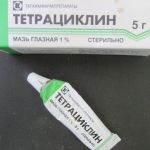 тетрациклин (в пересчёте на 100 % вещество) -1,0 г