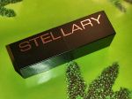 Губная помада Stellary WILD LIPS Long Lasting Lipstick устойчивая тон 108 Stella