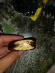 Choco Pie banana в разрезе