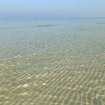 Водичка