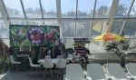 Самарские термы