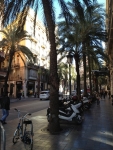 Невероятно уютная улочка с пальмами в центре Валенсии