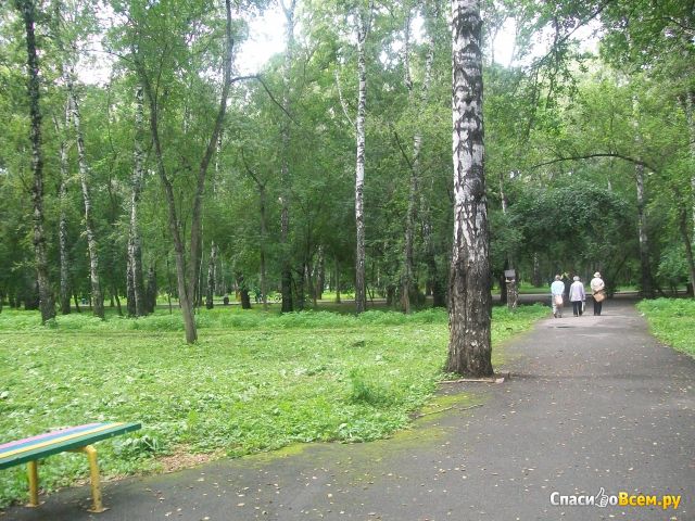 Парк культуры и отдыха "Березовая роща" (Новосибирск, Дзержинский район)