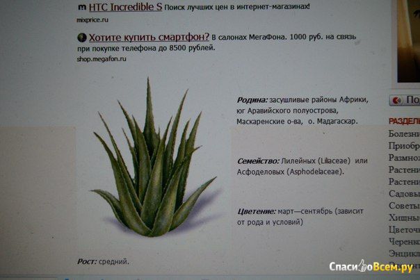 Сайт Flowercare.ru