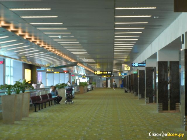 Аэропорт Чанги (Сингапур)