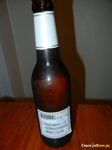 Пиво Singha