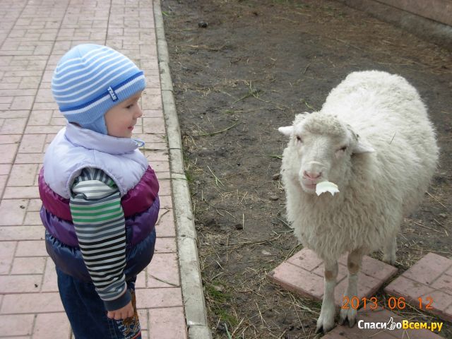 Детский контактный зоопарк "Дворик" (Новосибирск, ул. Зорге, д. 47)