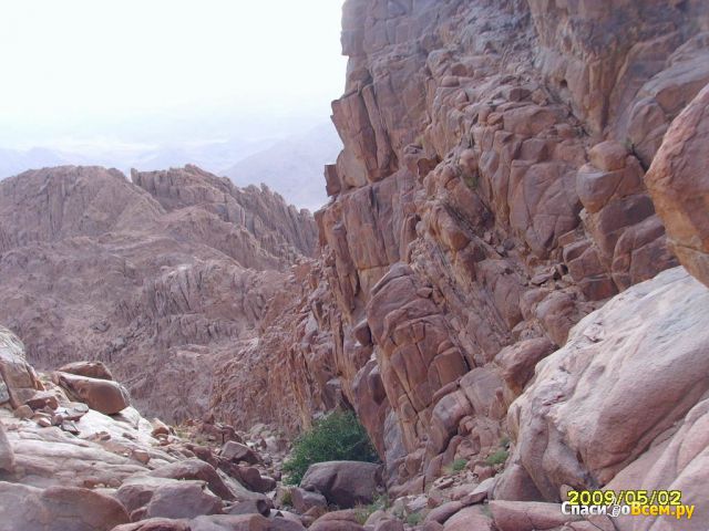 Гора Синай (Египет)