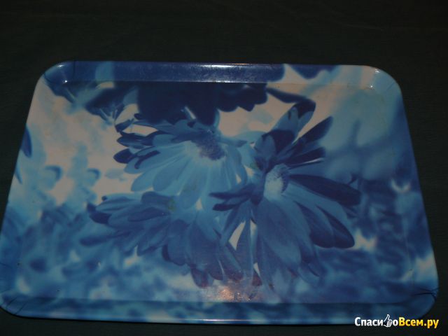 Поднос пластиковый Vetta 34x24 см "Синие цветы"